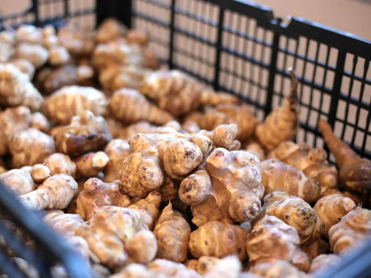 Jerusalem Artichokes